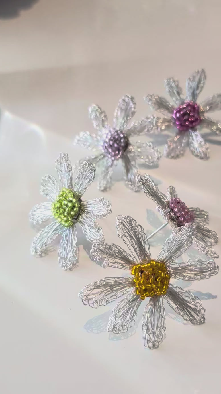 Daisy Parade